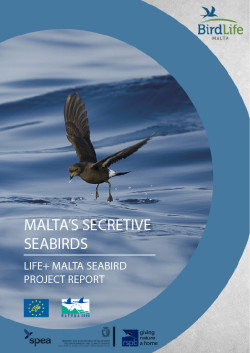malta-seabird-project-laymans-report-front cover