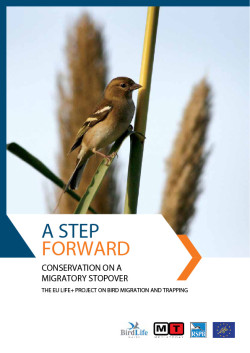 Bird Migration and trapping Layman’s report - front cover image