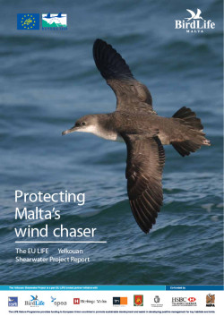Yelkouan Shearwater Project Layman’s report EN - front cover image