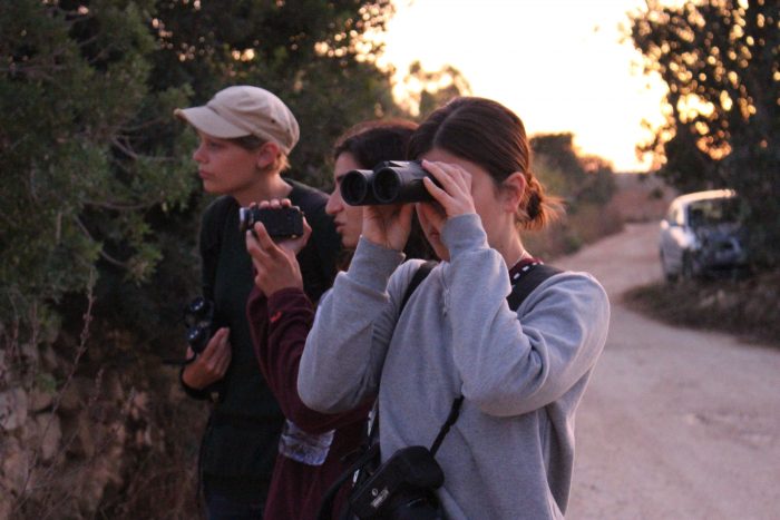 Raptor Camp Wildlife Crime BirdLife Malta