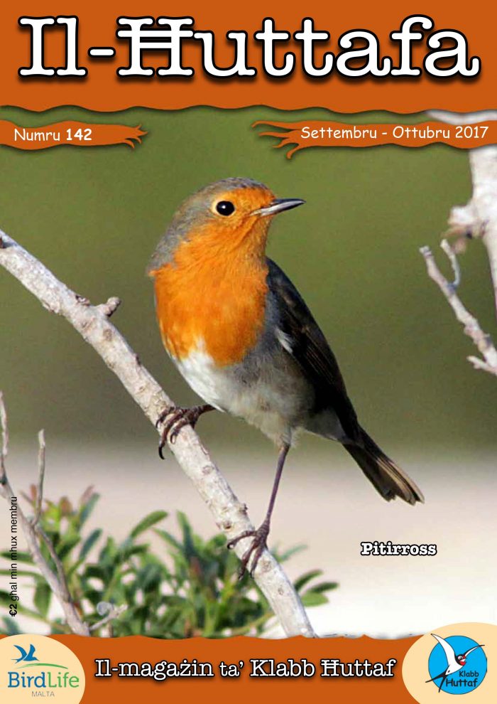 Il-Ħuttafa - BirdLife Malta