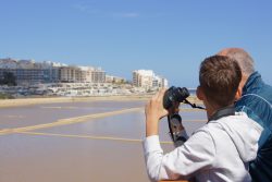 birdwatching birdlife malta