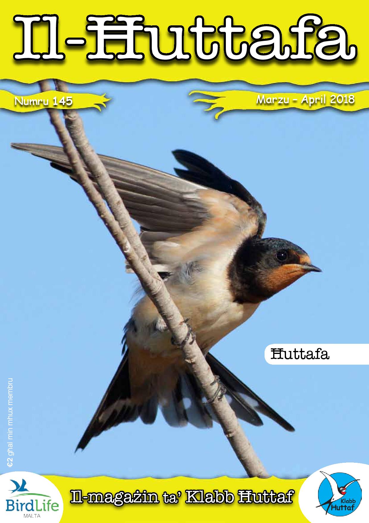 Il-Ħuttafa - BirdLife Malta
