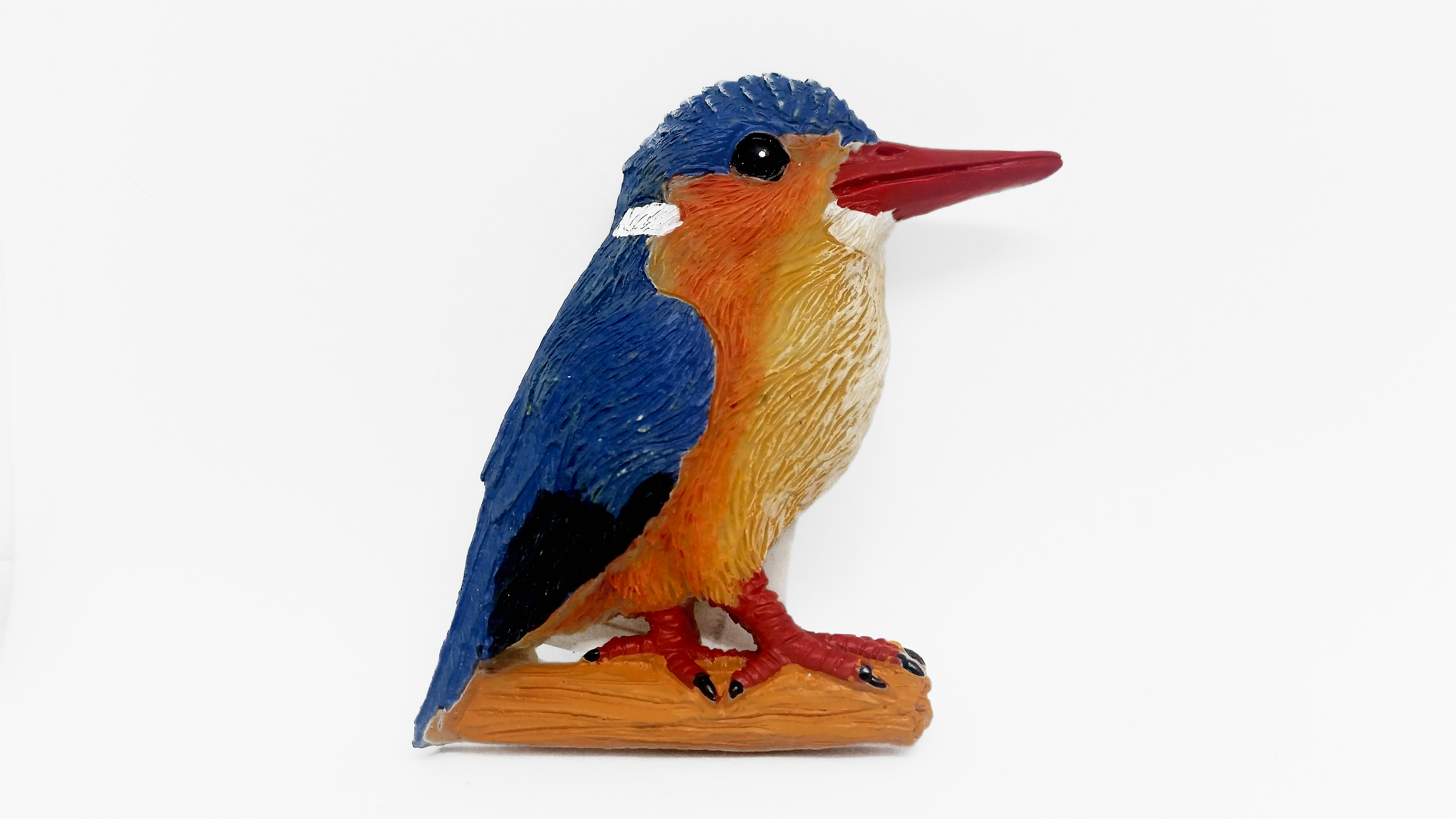 kingfisher-birdlife-malta