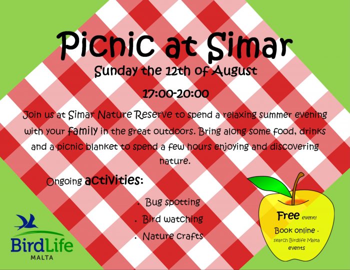 Picnic at Simar poster