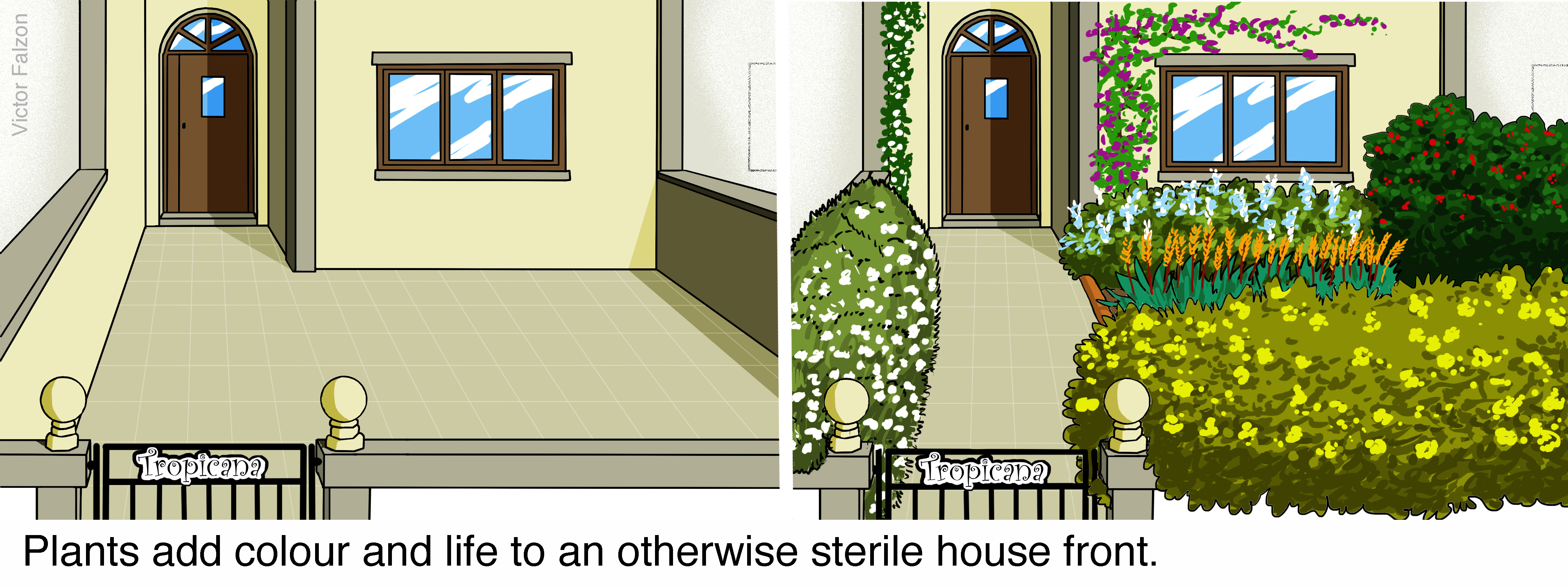 Plants add colour and life to an otherwise sterile house front.