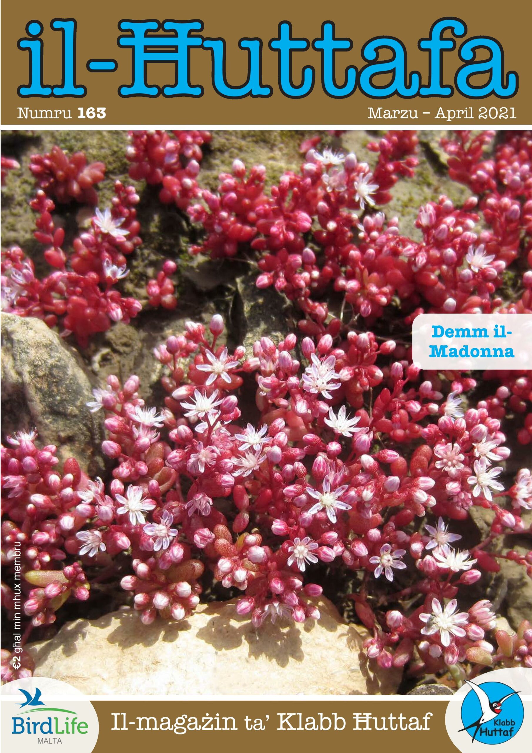 Il-Ħuttafa | BirdLife Malta