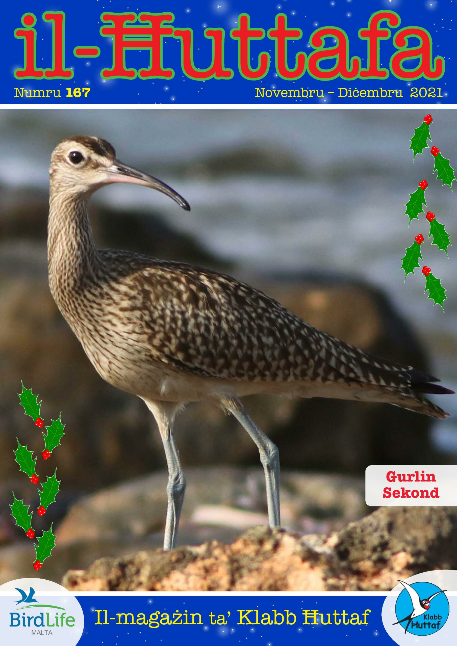 Il-Ħuttafa : BirdLife Malta