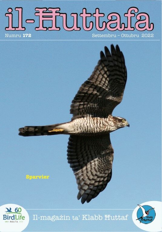 Il-Ħuttafa : BirdLife Malta