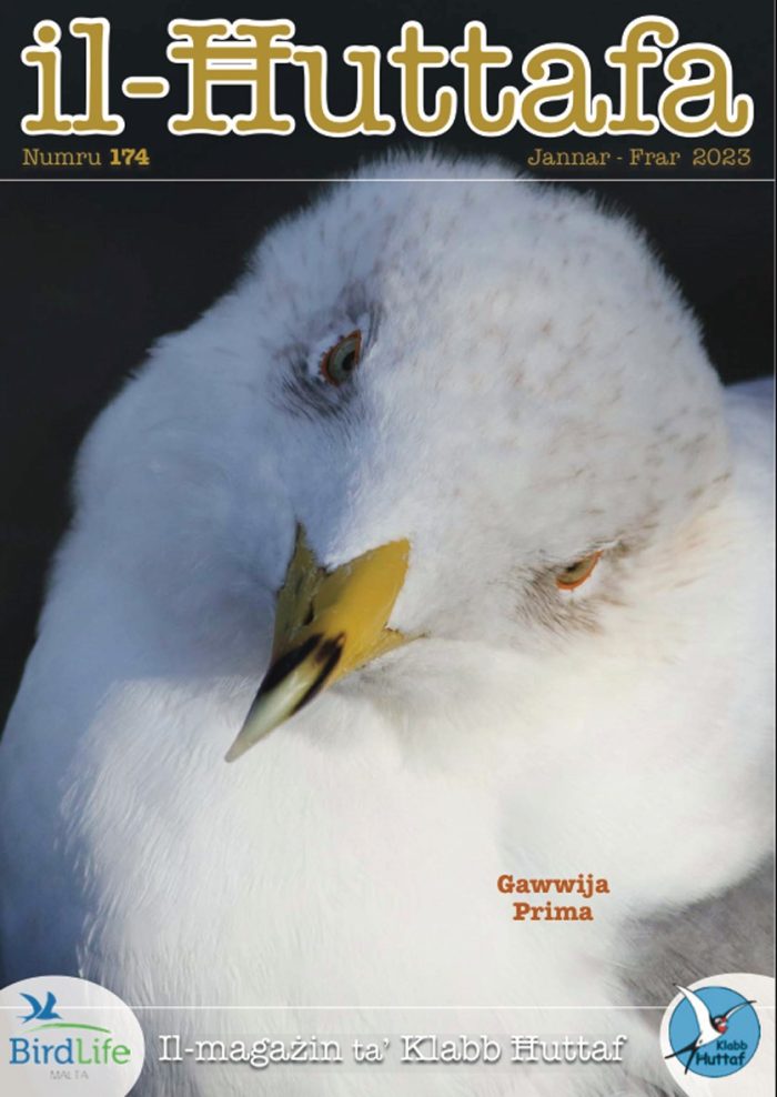 Il-Ħuttafa : BirdLife Malta