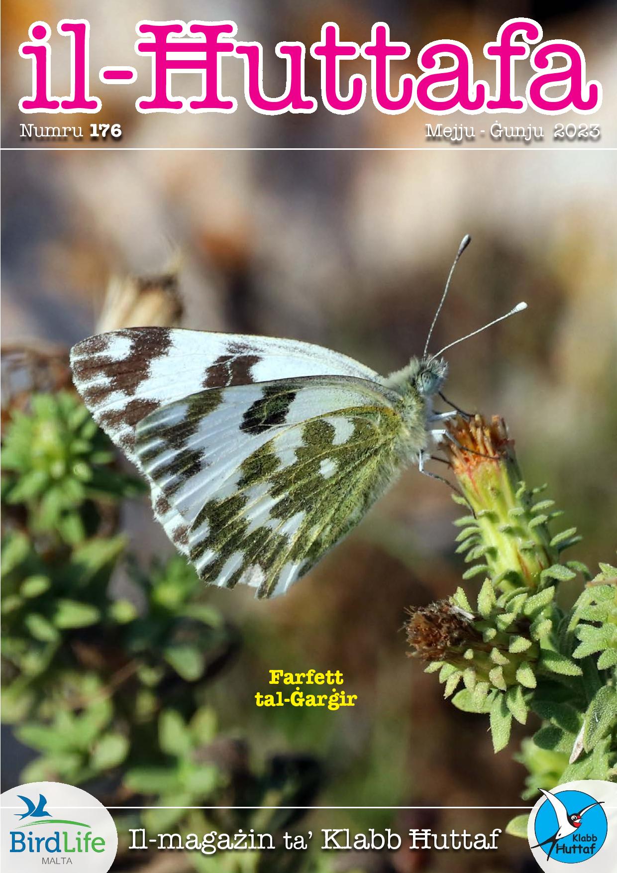 Il-Ħuttafa : BirdLife Malta
