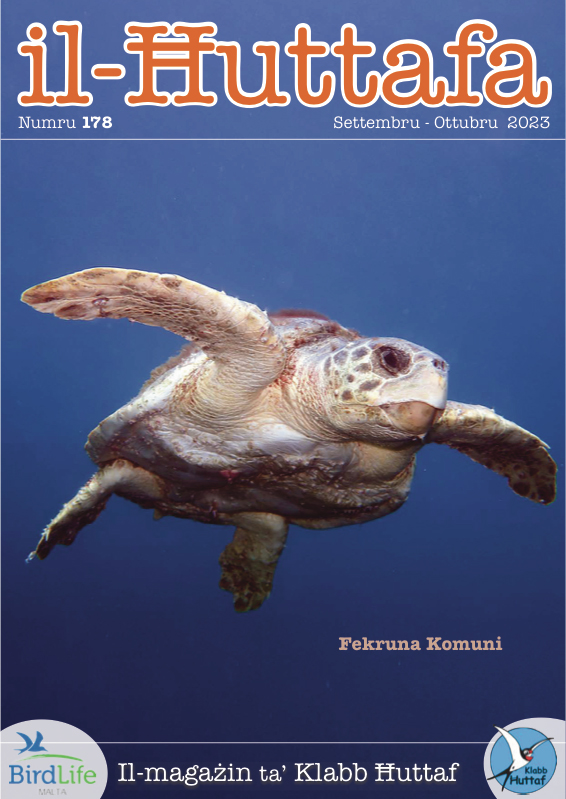 Il-Ħuttafa : BirdLife Malta