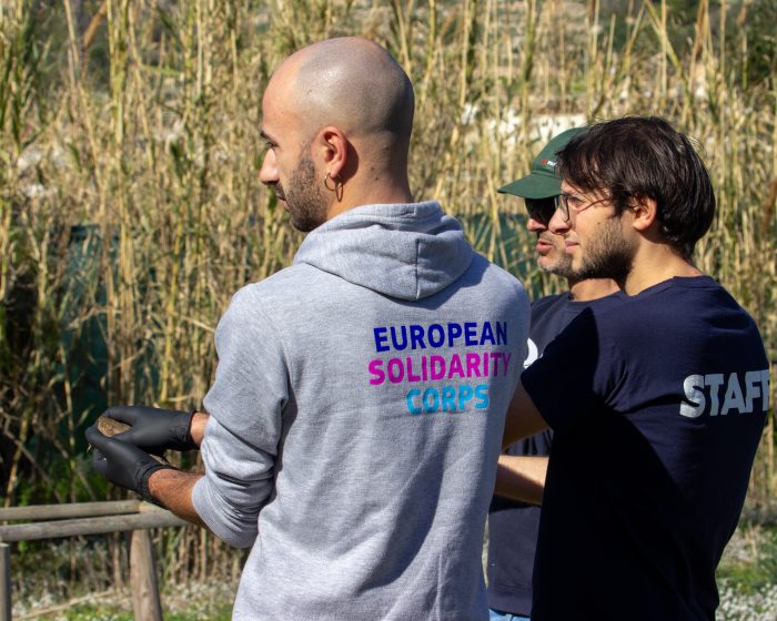 BirdLife Malta volunteer EVS European Solidarity Corps