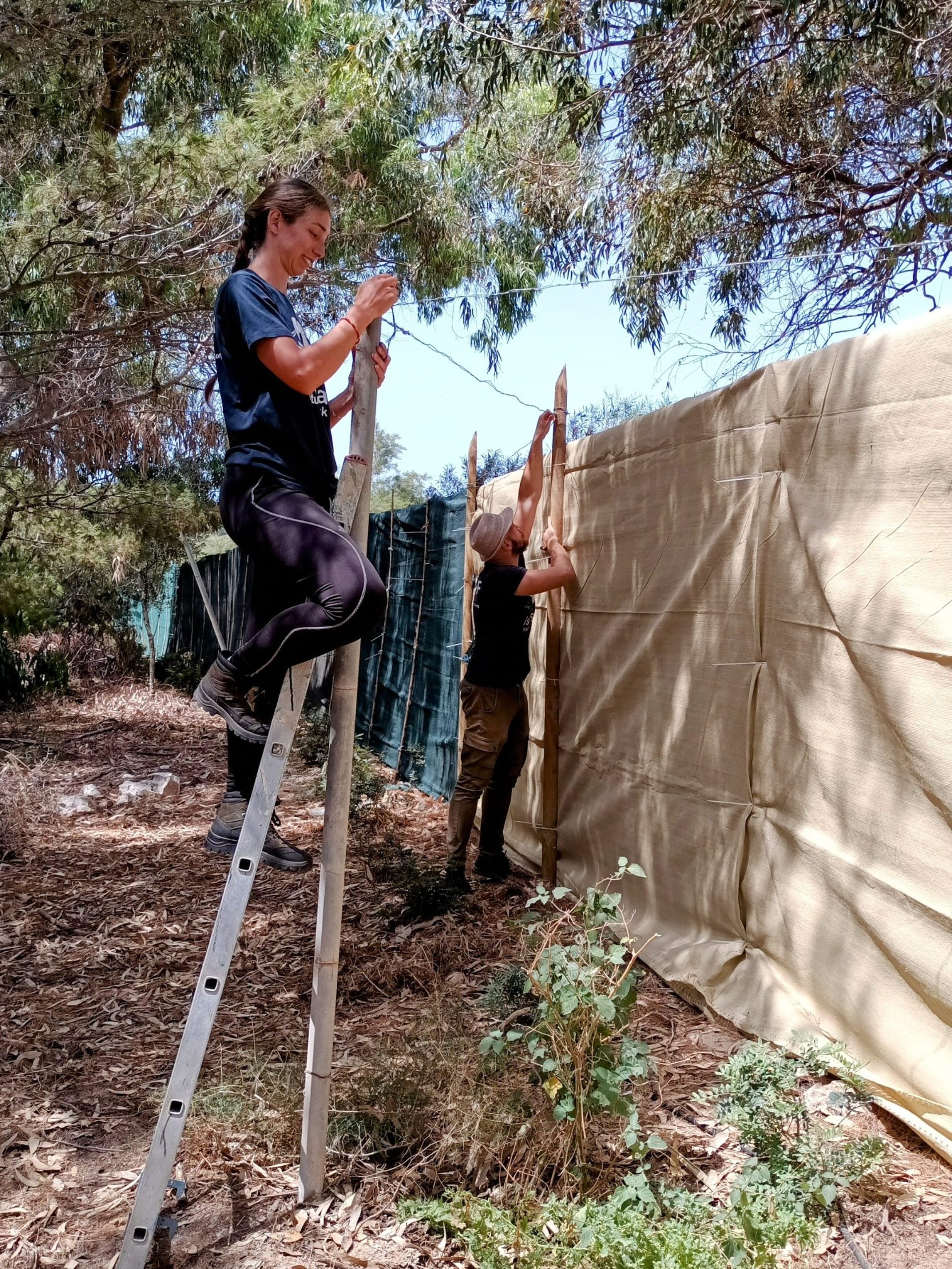 Repair of the perimeter fence of the reserve.