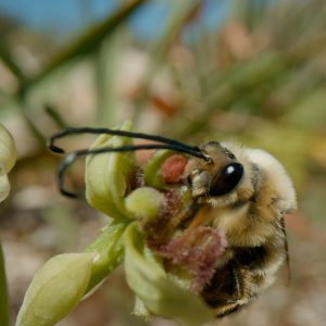 Sip, Soak & Savour in Nature