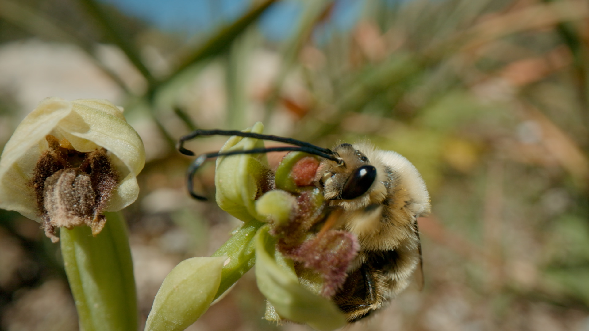 Sip, Soak & Savour in Nature