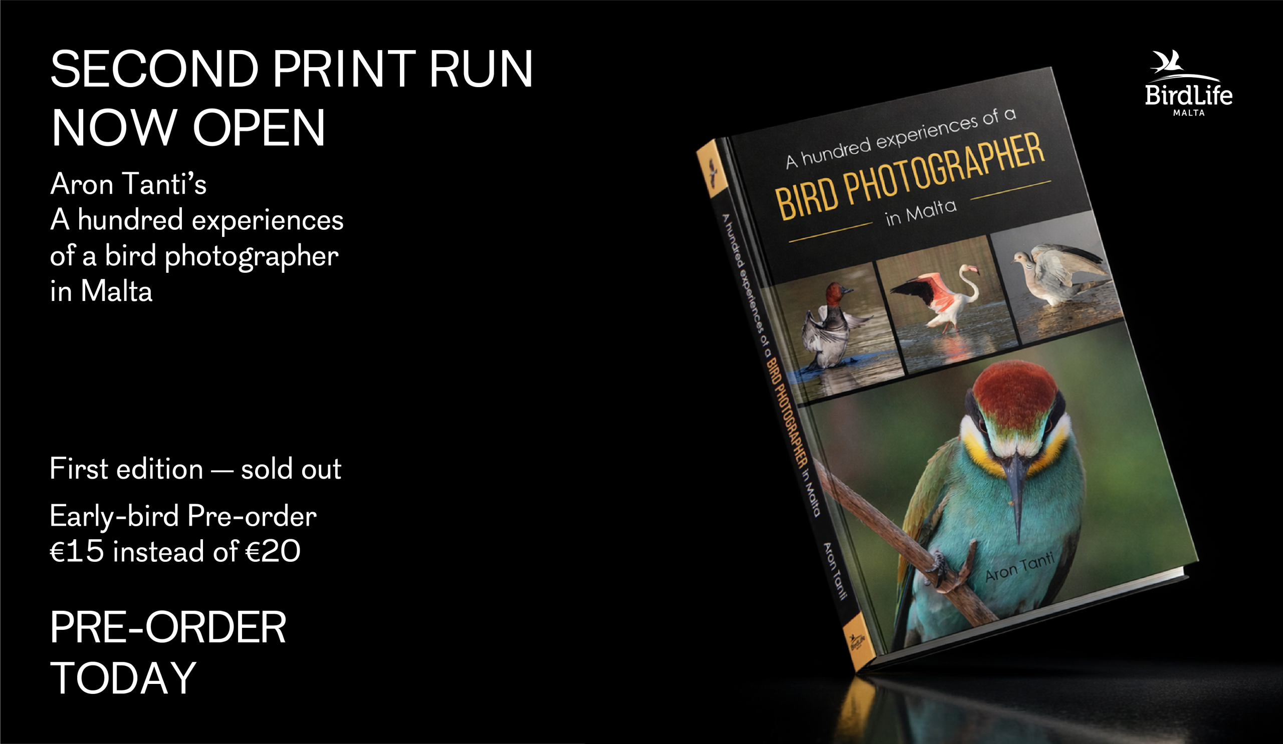 A hundred experiences of a bird photographer in Malta