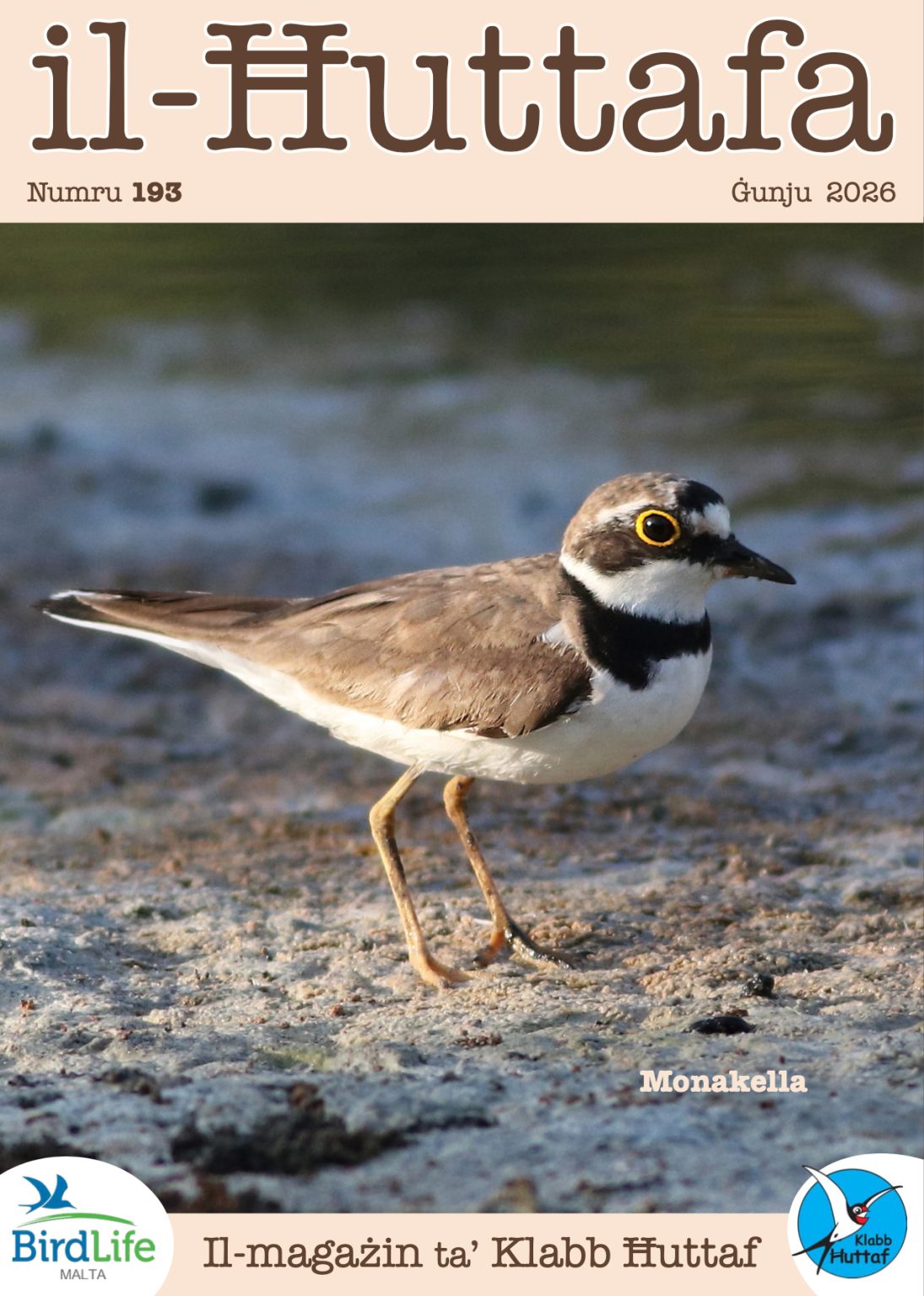 Il-Ħuttafa : BirdLife Malta