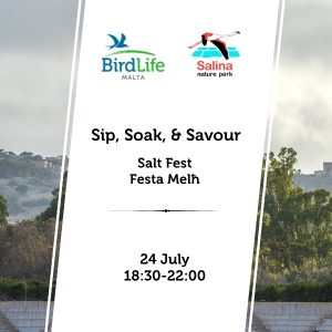 Sip, Soak, & Savour at Salt Fest