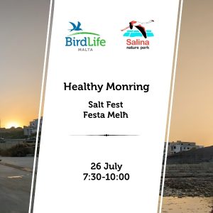 Healthy Morning