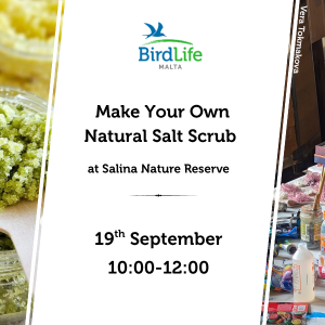 Salt Scrub Workshop