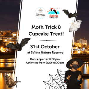 Moth Trick and Cupcake Treat