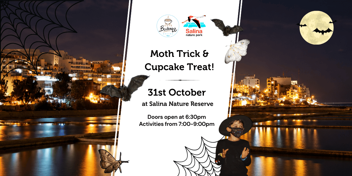 Moth Trick and Cupcake Treat
