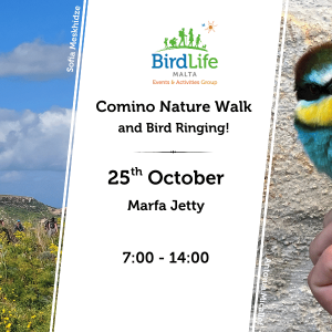 EAC Comino Nature Walk